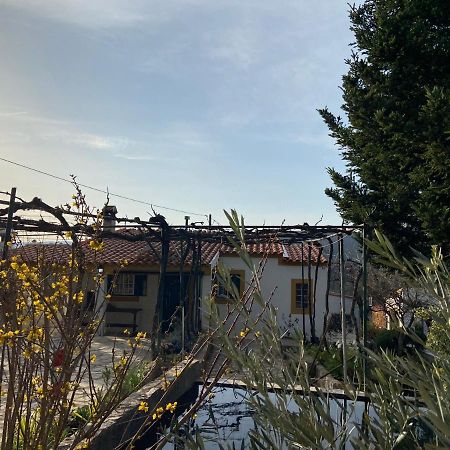 Fundão Casas De Campo Em Cerejalヴィラ エクステリア 写真